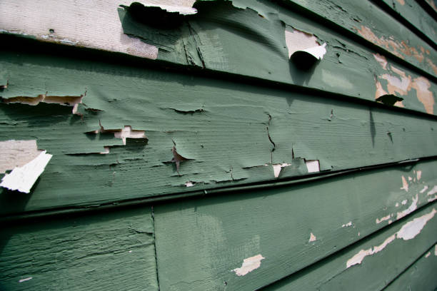 Affordable Siding Repair and Maintenance Services in San Felipe Pueblo, NM